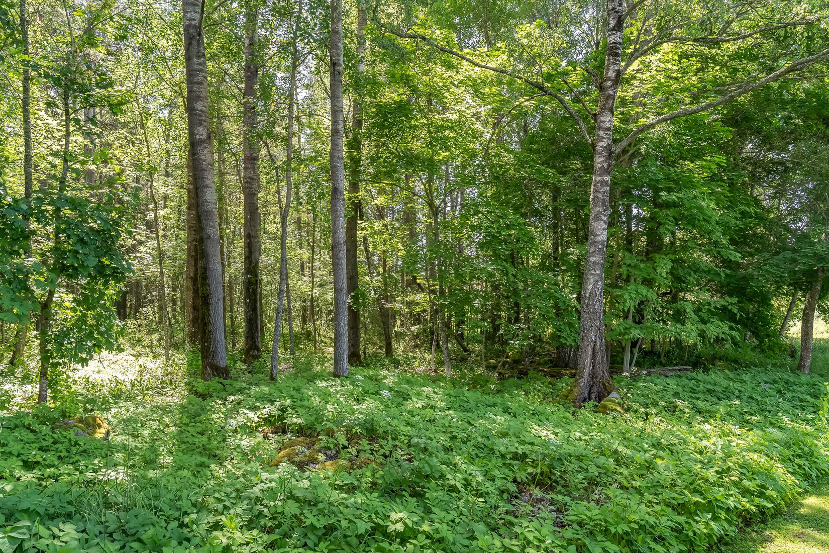 Villa, Karlslundsvägen 10, Karlslund, Falun