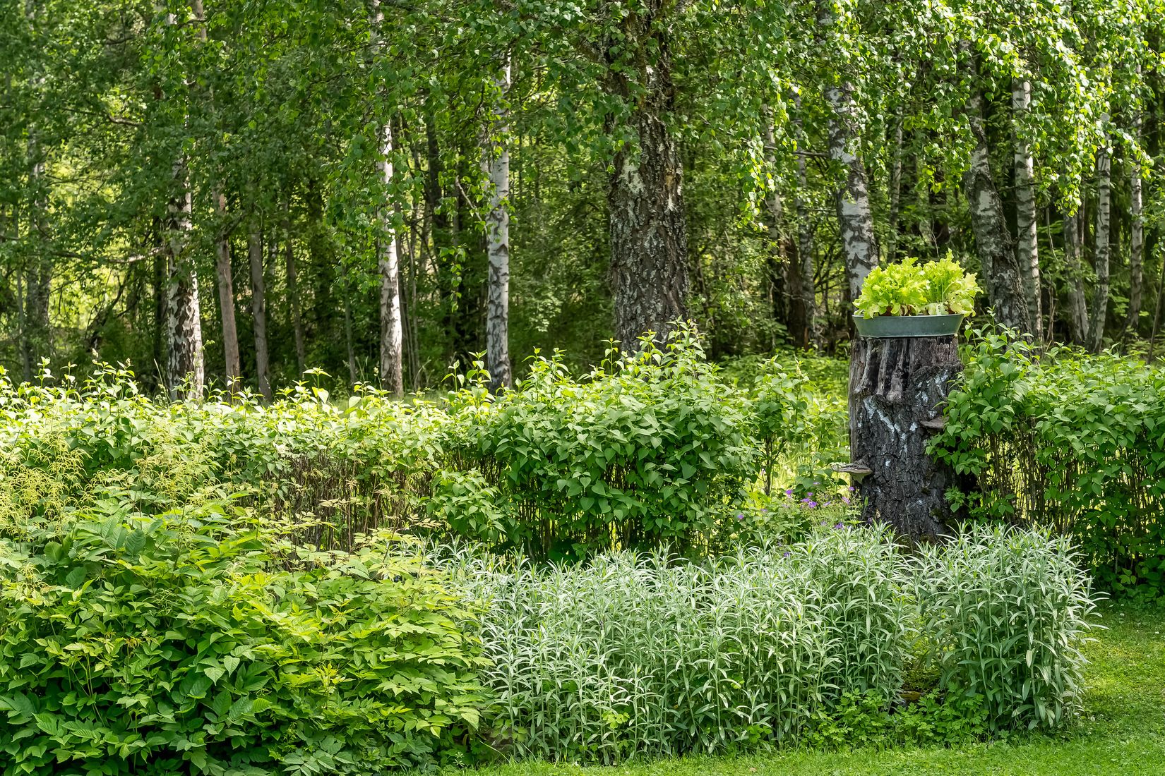 Villa, Karlslundsvägen 10, Karlslund, Falun