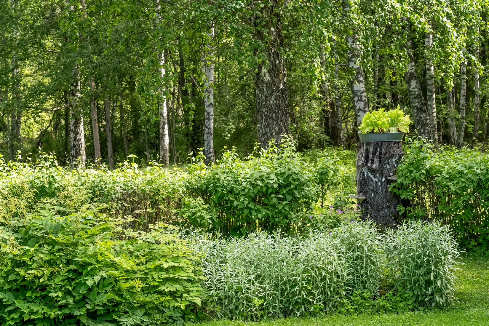 Villa, Karlslundsvägen 10, Karlslund, Falun