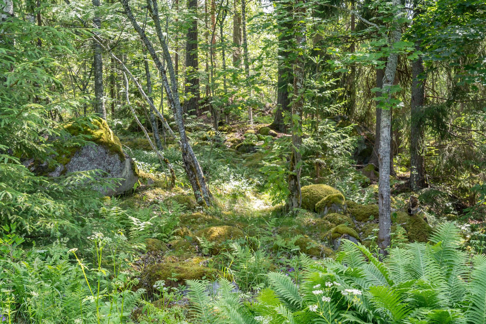 Villa, Karlslundsvägen 10, Karlslund, Falun