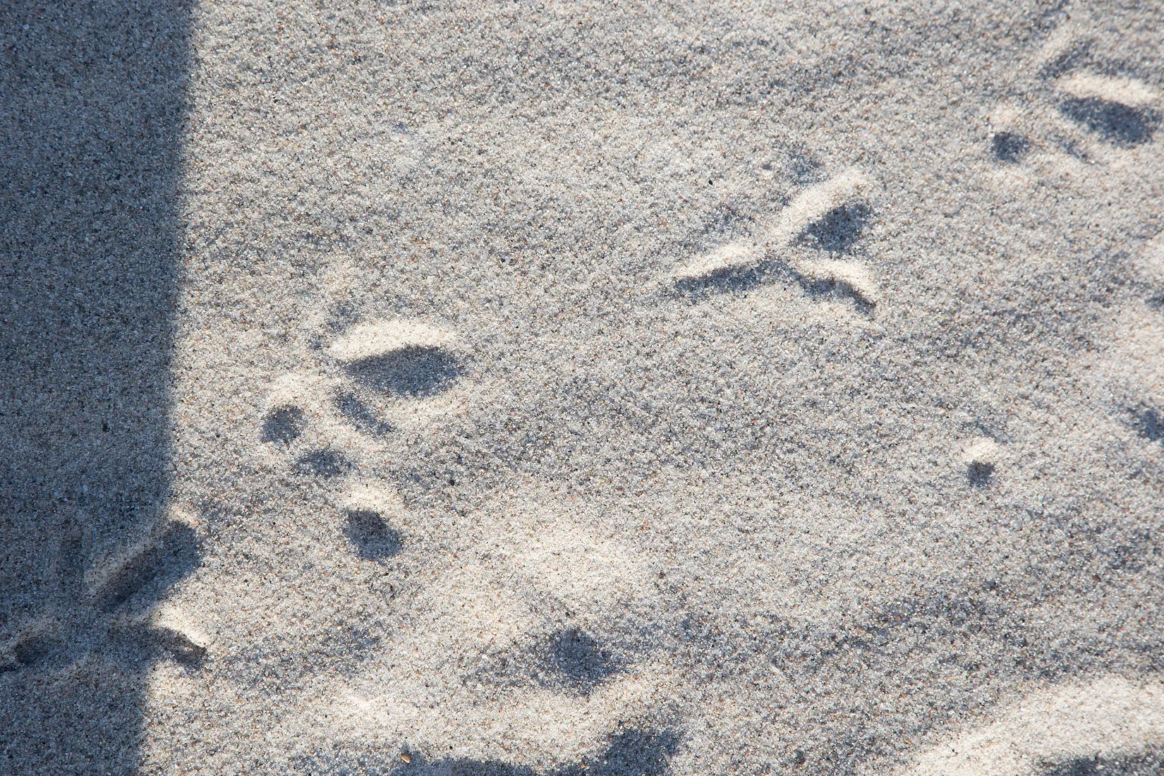 Villa, Lilla Beddinge kyrkväg 209, Beddingstrand, Trelleborg