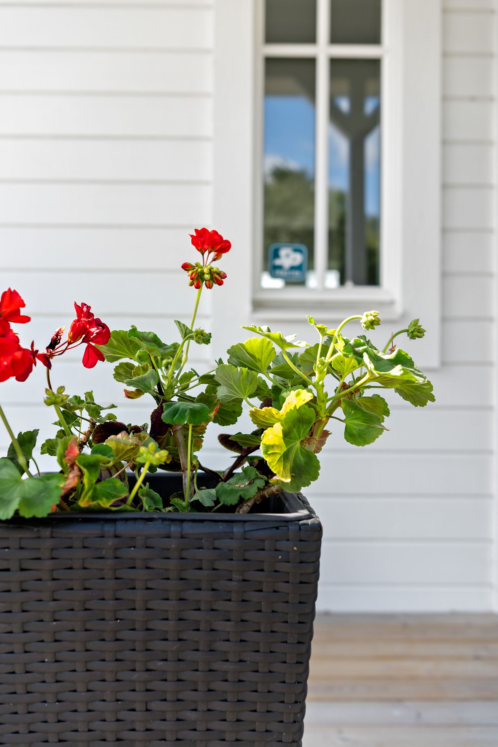 Villa, Villavägen 3, Saladamm, Sala