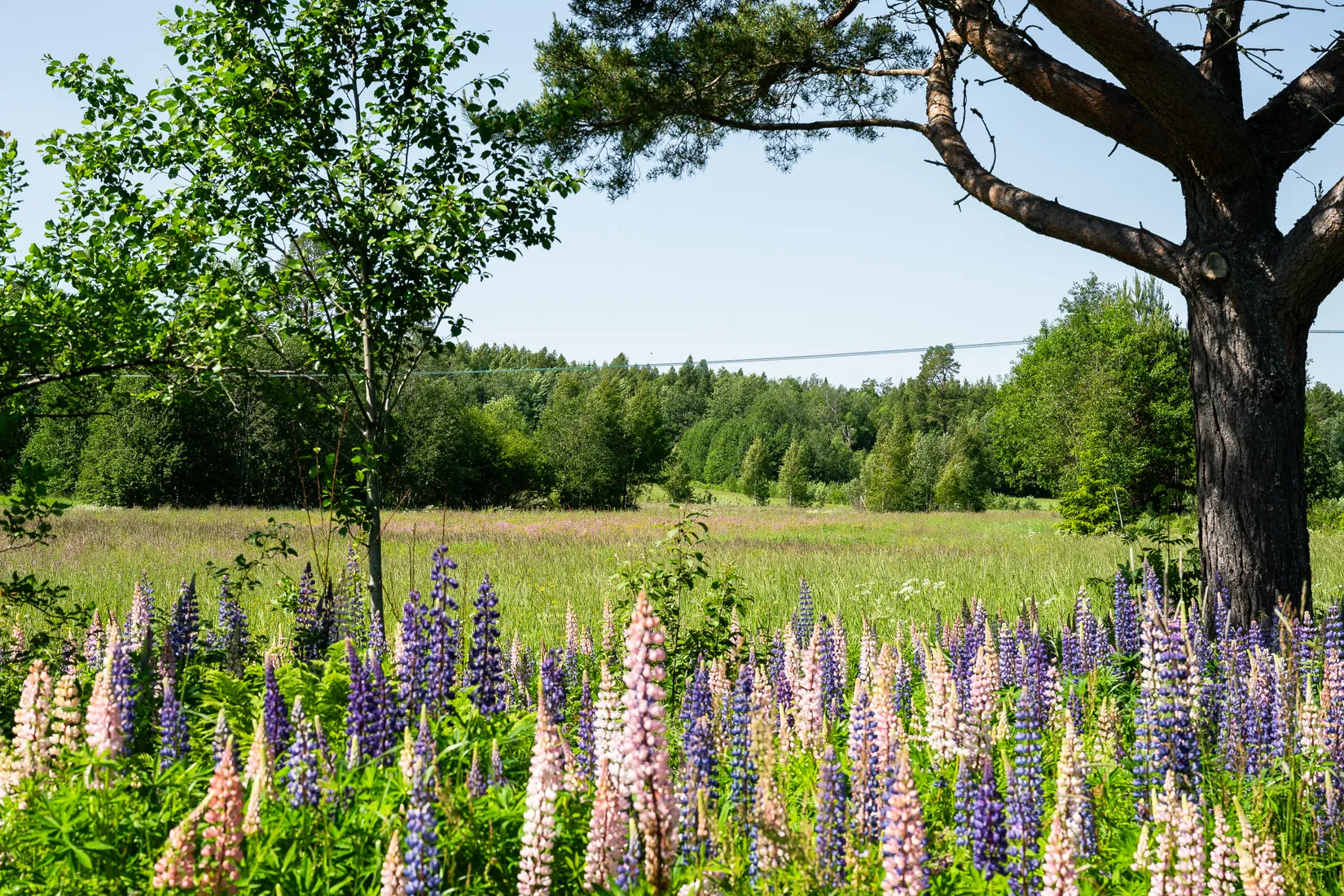 Fritidshus, Skrängstabodarna 182, Njurunda, Sundsvall