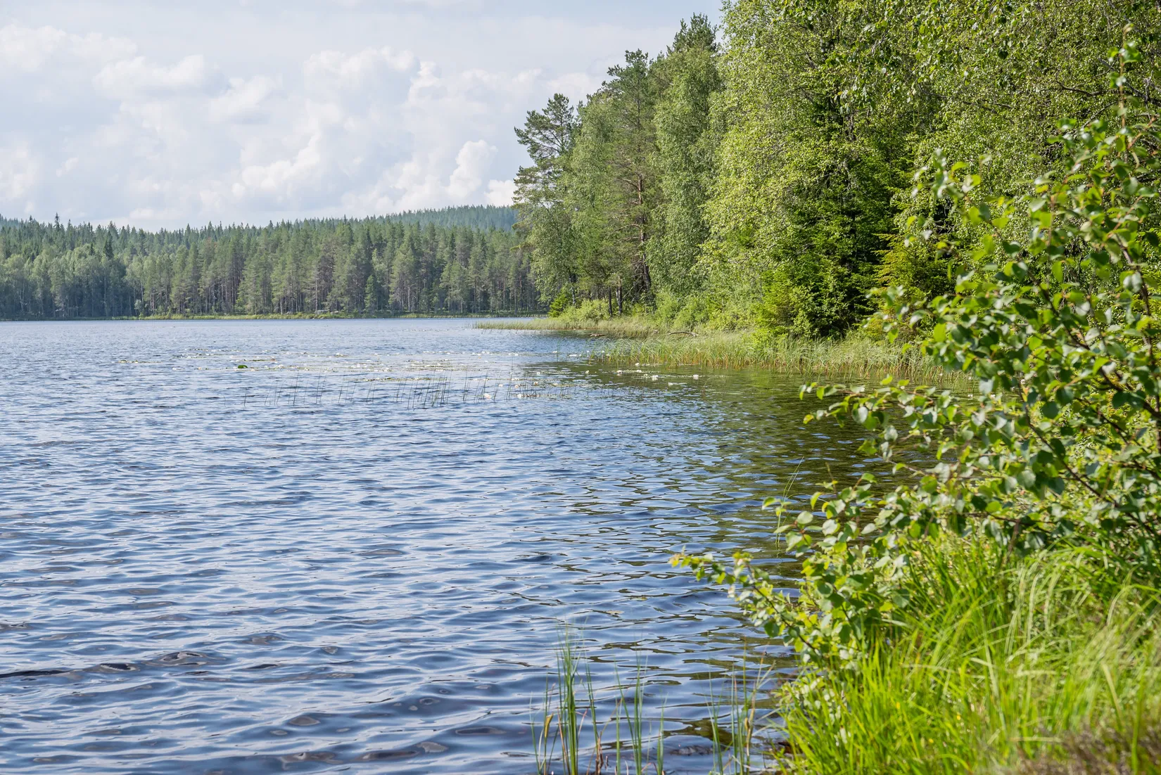 Fritidshus, Ytterdammen 9, Finnskogen, Torsby
