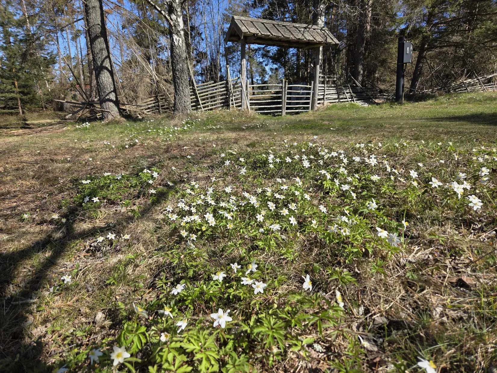Fritidshus, Arholma södra byväg 73, Norrtälje