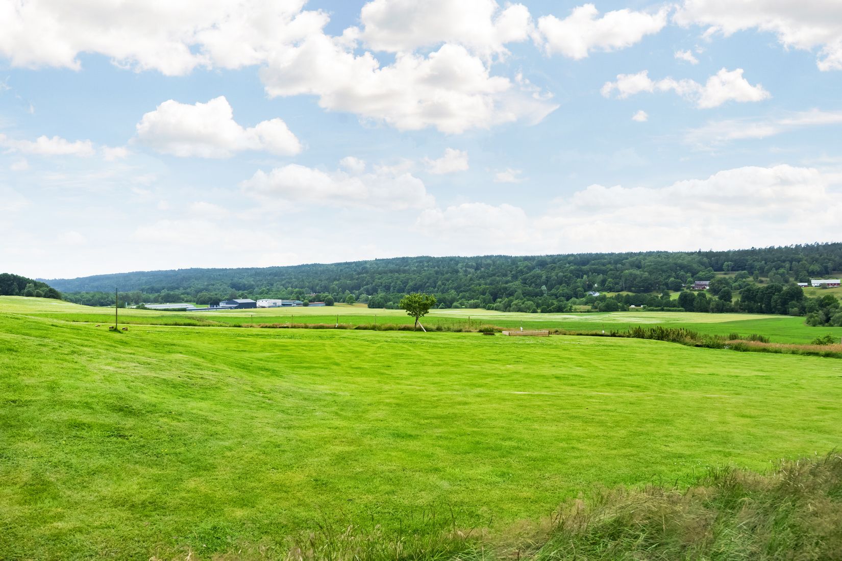 Gård/Skog, Sätila-Hede 3:31, Sätila, Mark