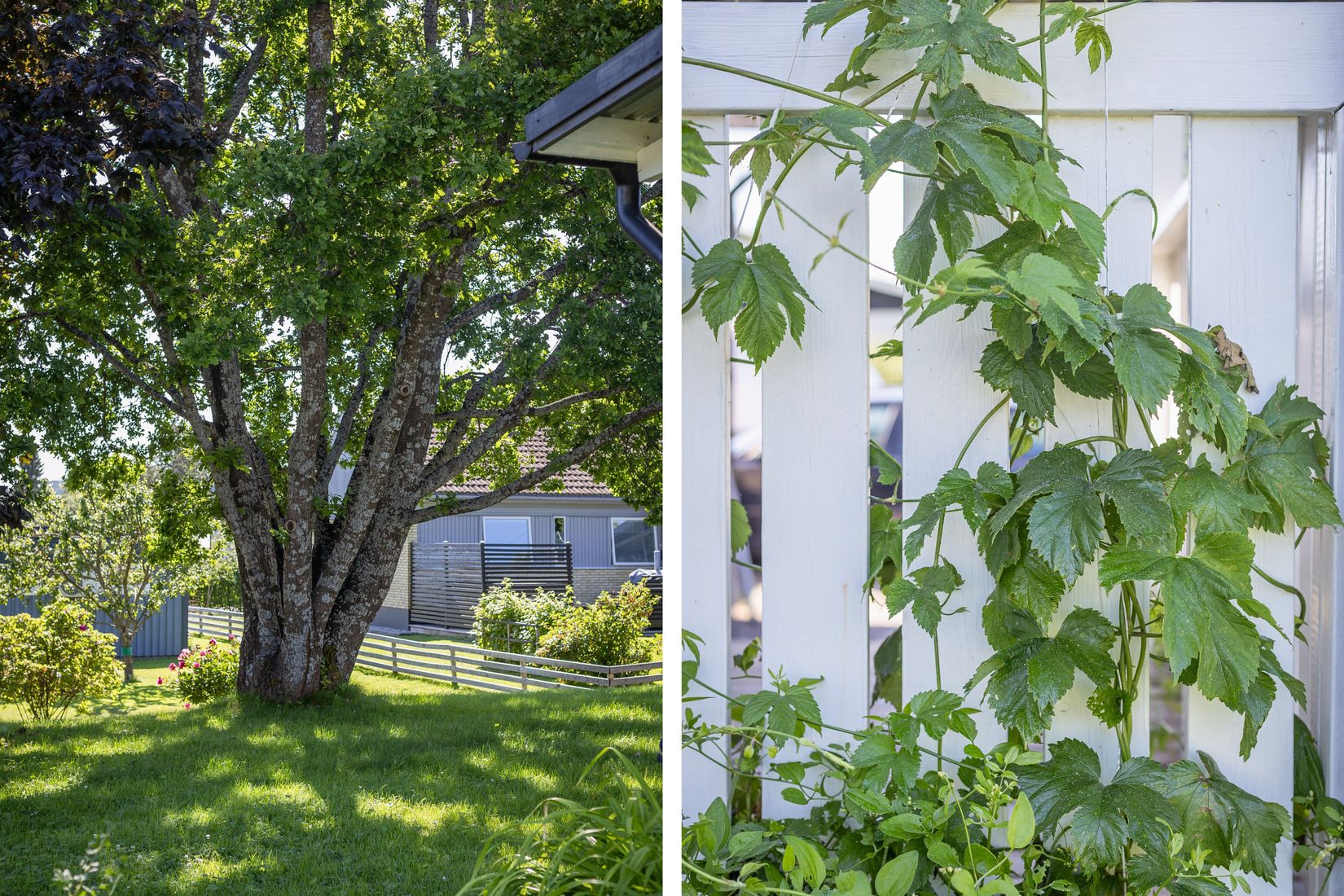 Villa, Timotejvägen 7, Matfors, Sundsvall