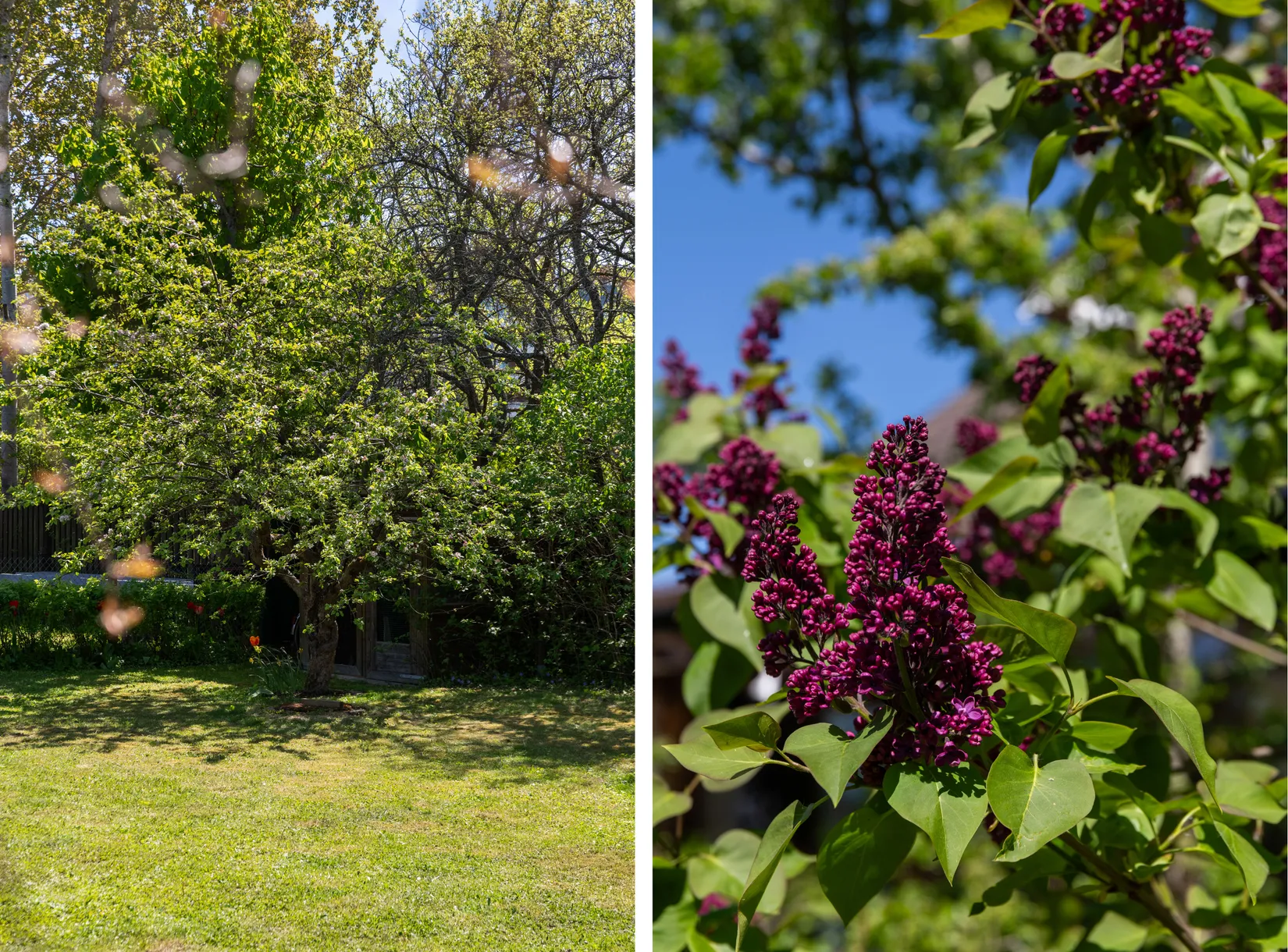 Villa, Burschstigen 7, Ella Gård, Täby