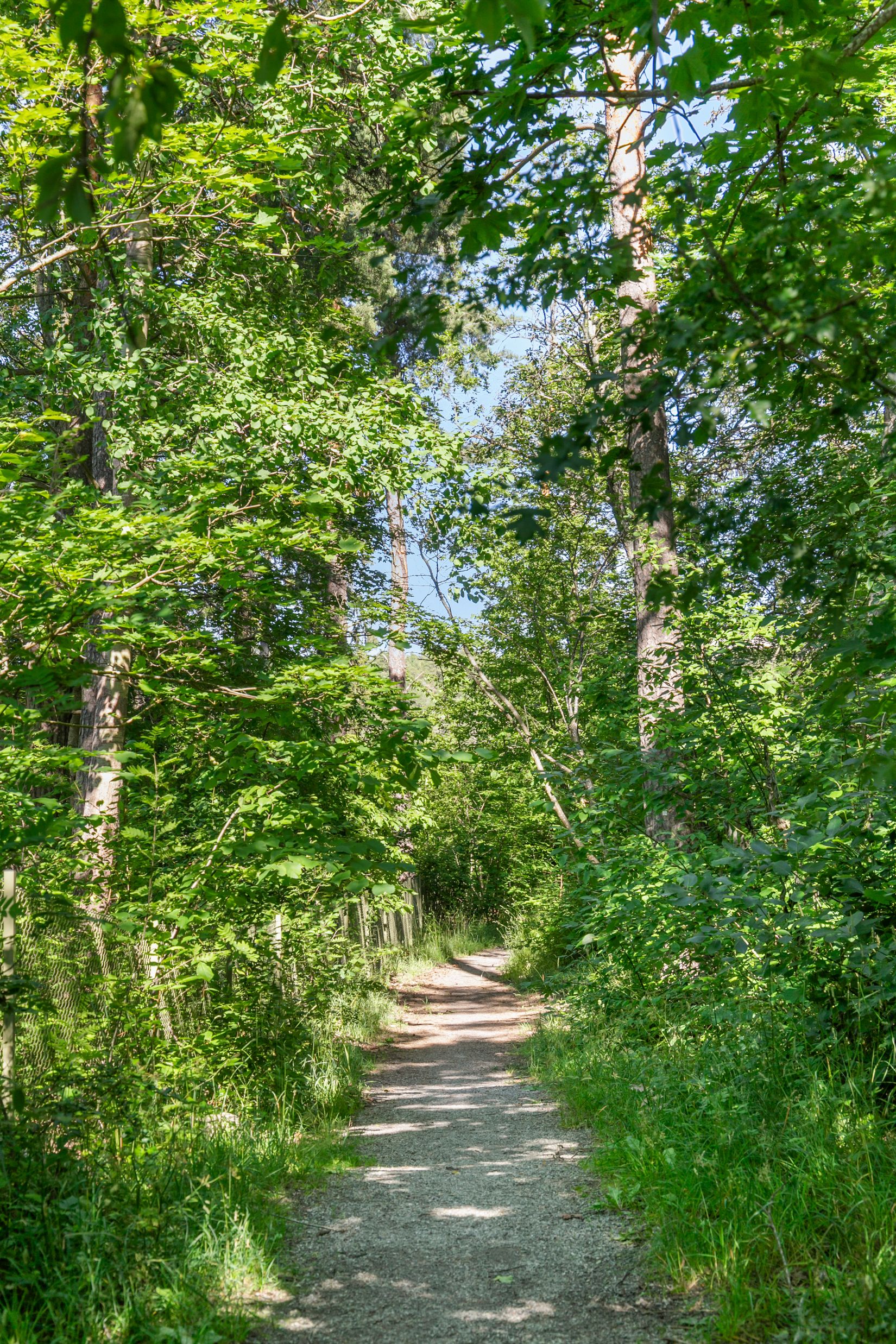 Bostadsrätt, Sänkhagsvägen 6C, Häggvik, Sollentuna