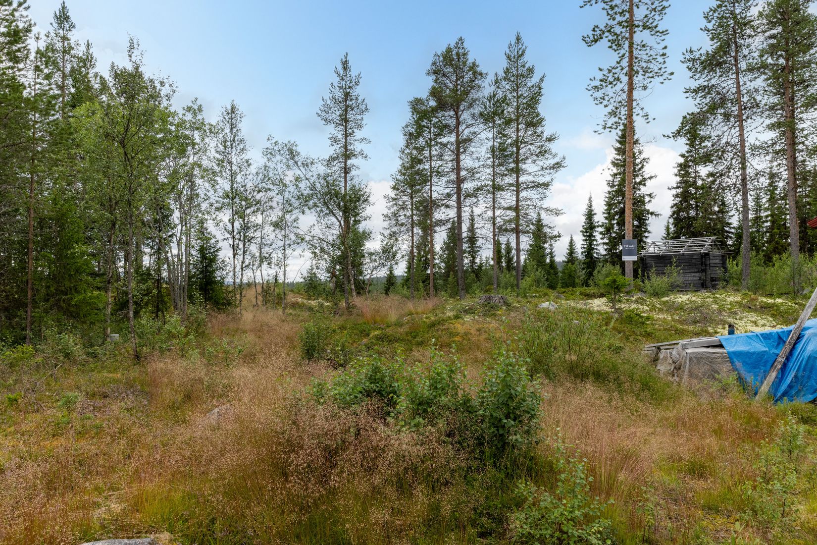 Tomt, Landet Furuvägen 5, Lofsdalen - Landet, Härjedalen