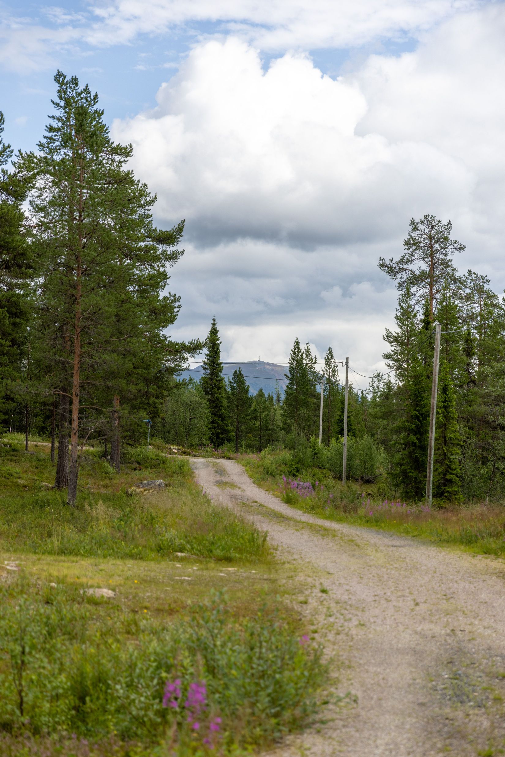 Tomt, Landet Furuvägen 5, Lofsdalen - Landet, Härjedalen