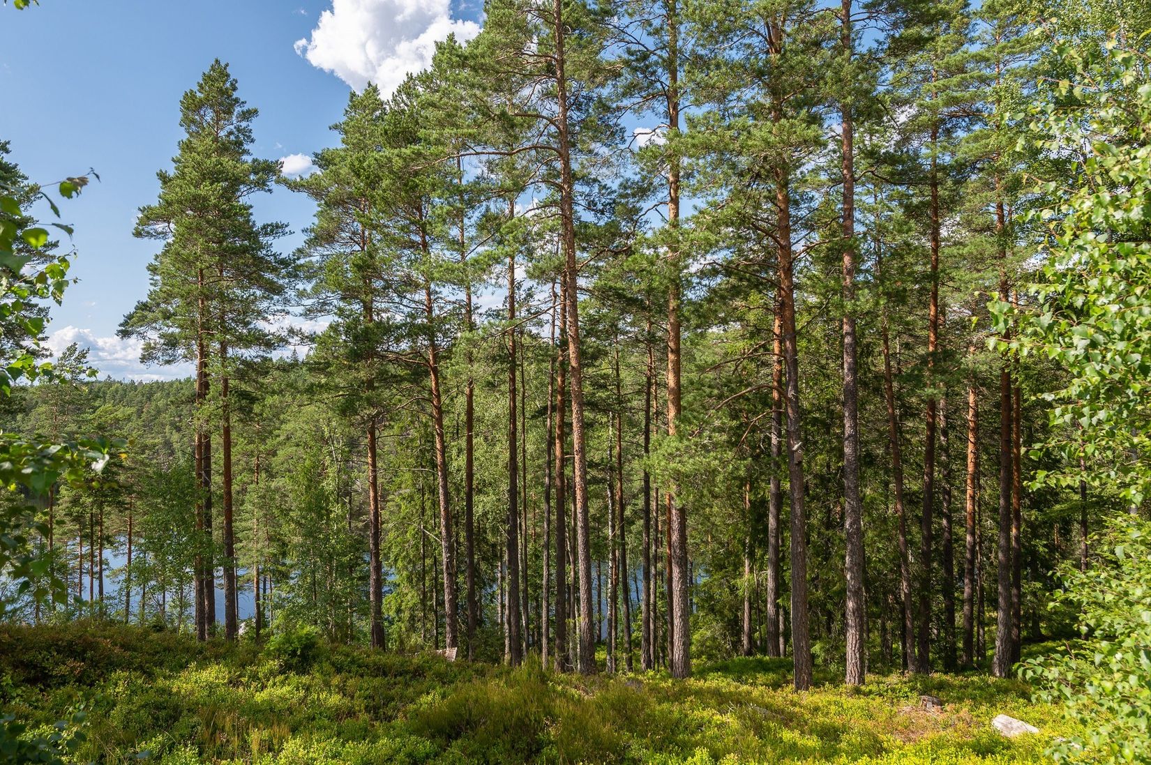 Övrigt, Jättestigen 16, Åby, Norrköping