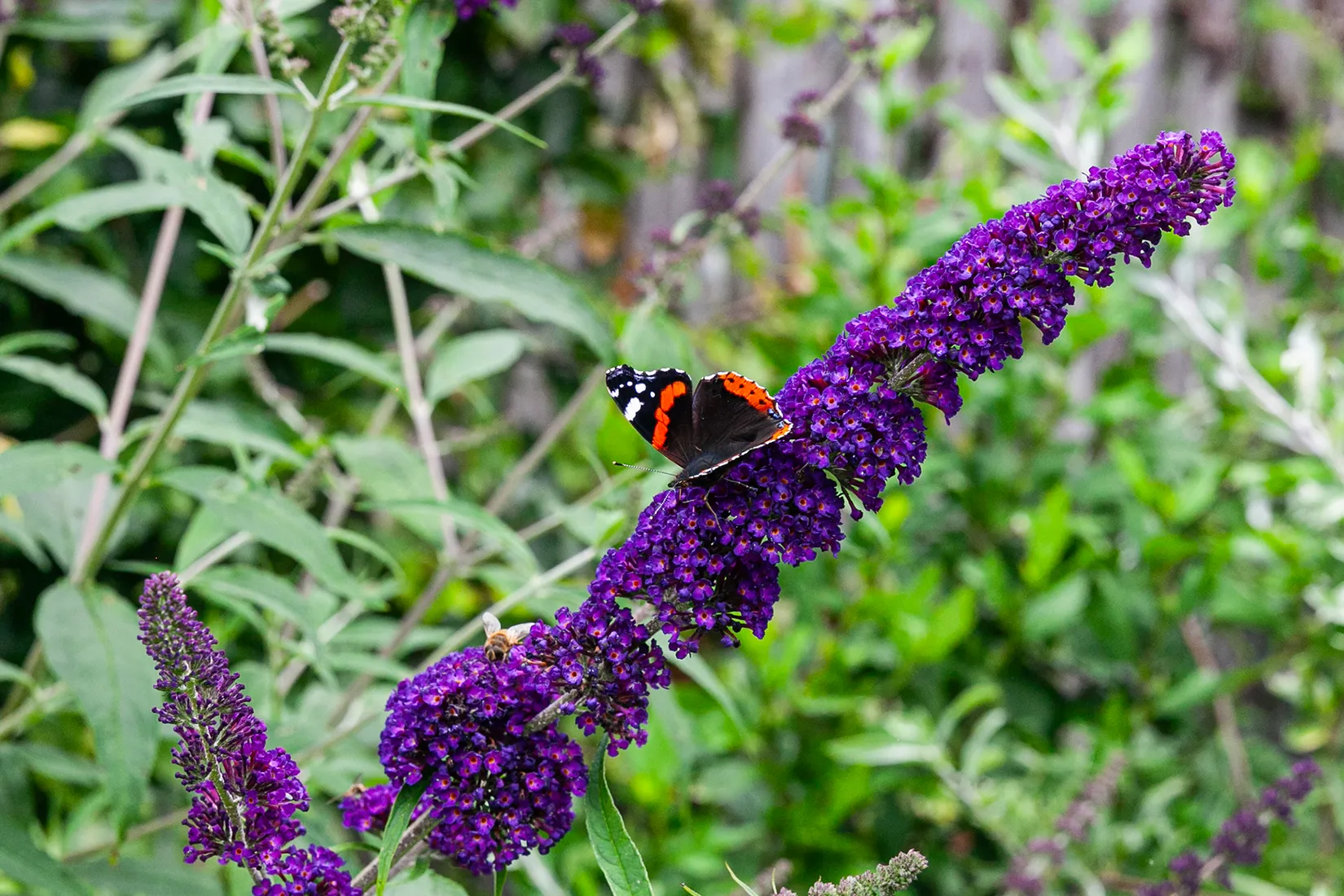 Villa, Pumpgatan 19, Höganäs