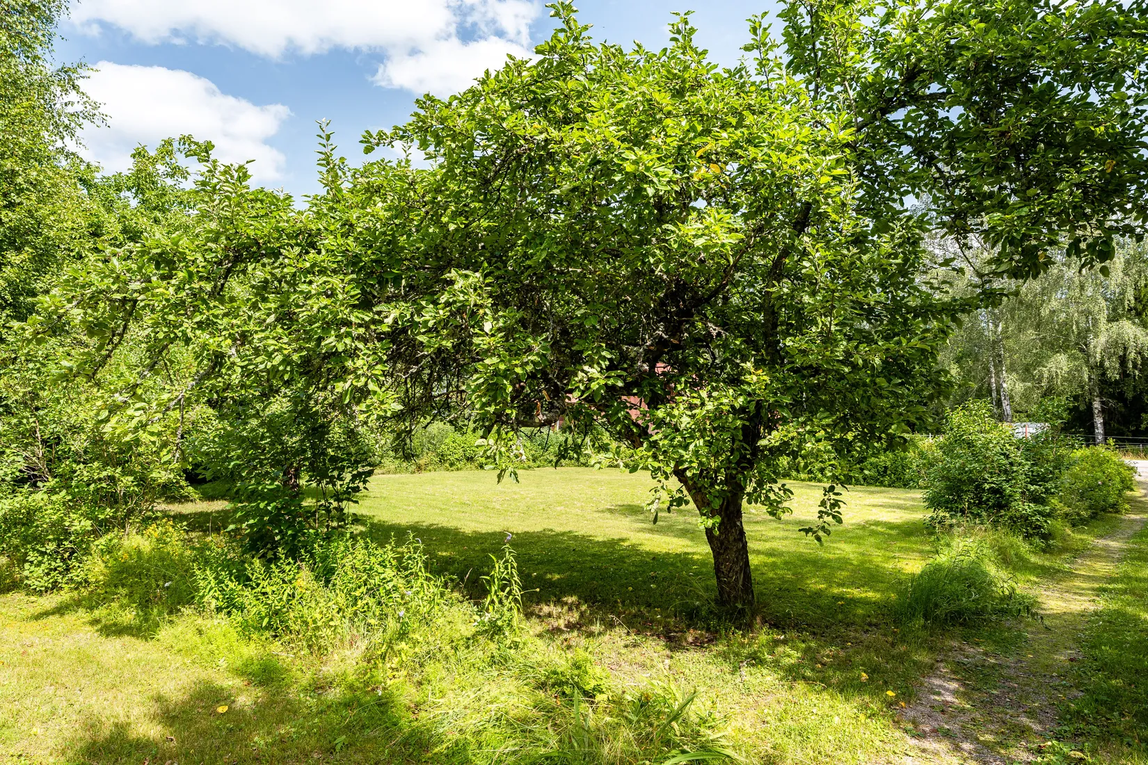 Villa, Postboda 124, Månkarbo, Tierp