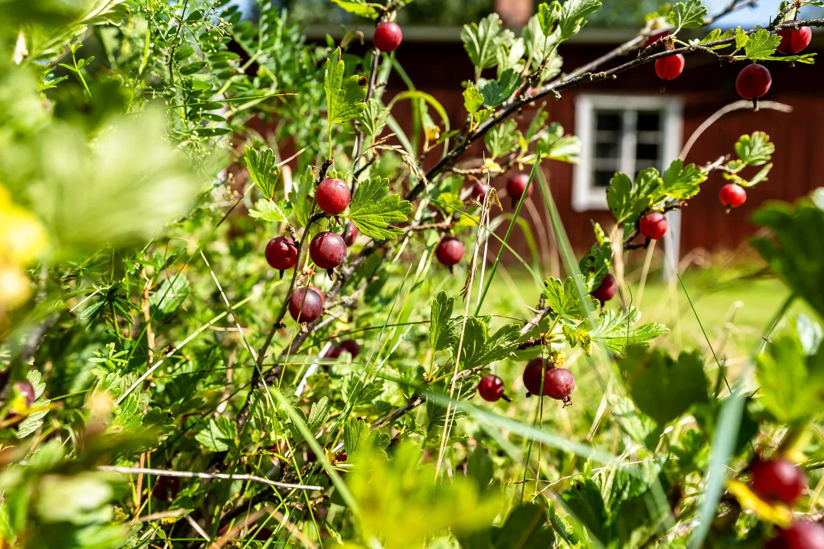 Villa, Postboda 124, Månkarbo, Tierp