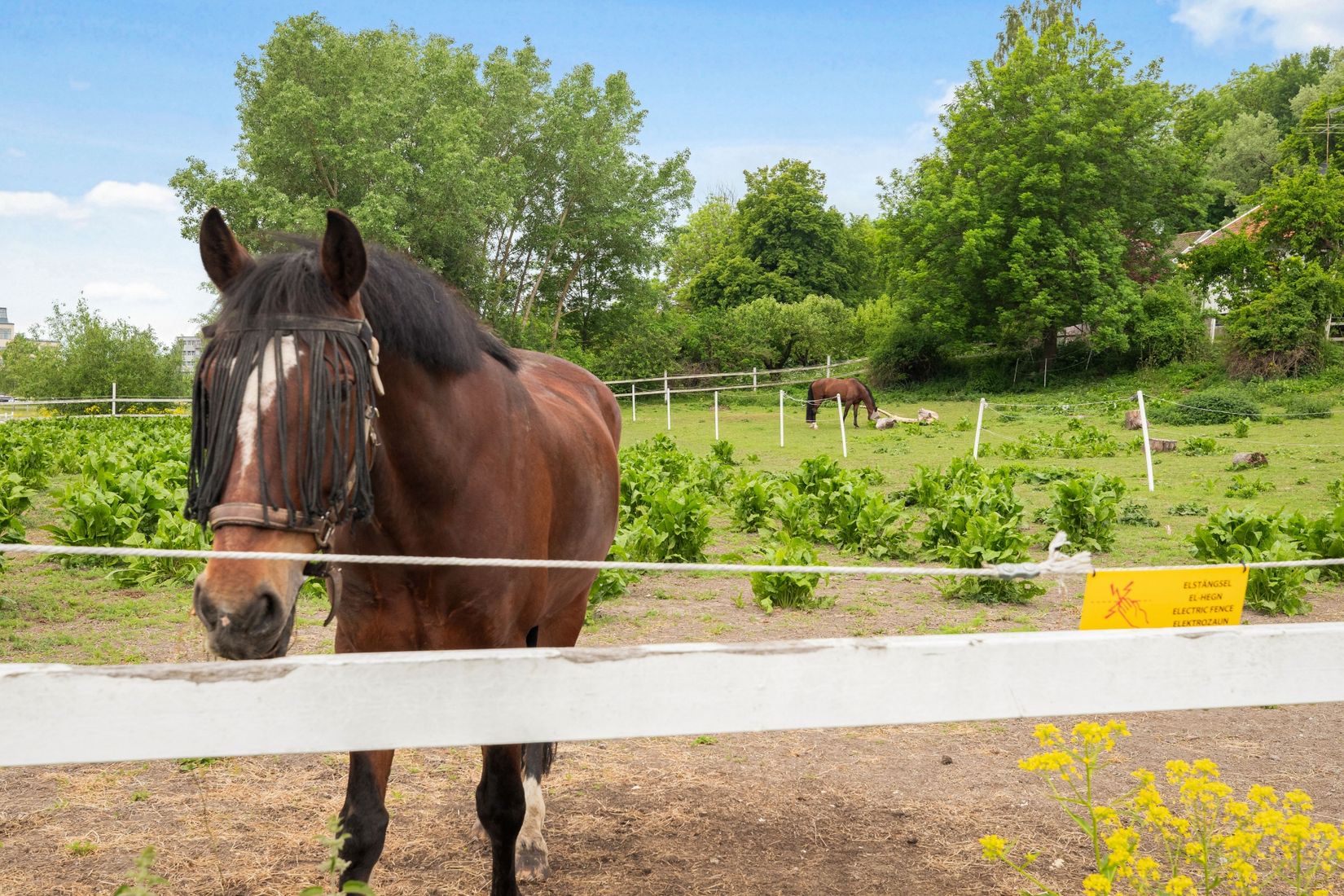 Bostadsrätt, Ursviks allé 41, Rissne, Sundbyberg