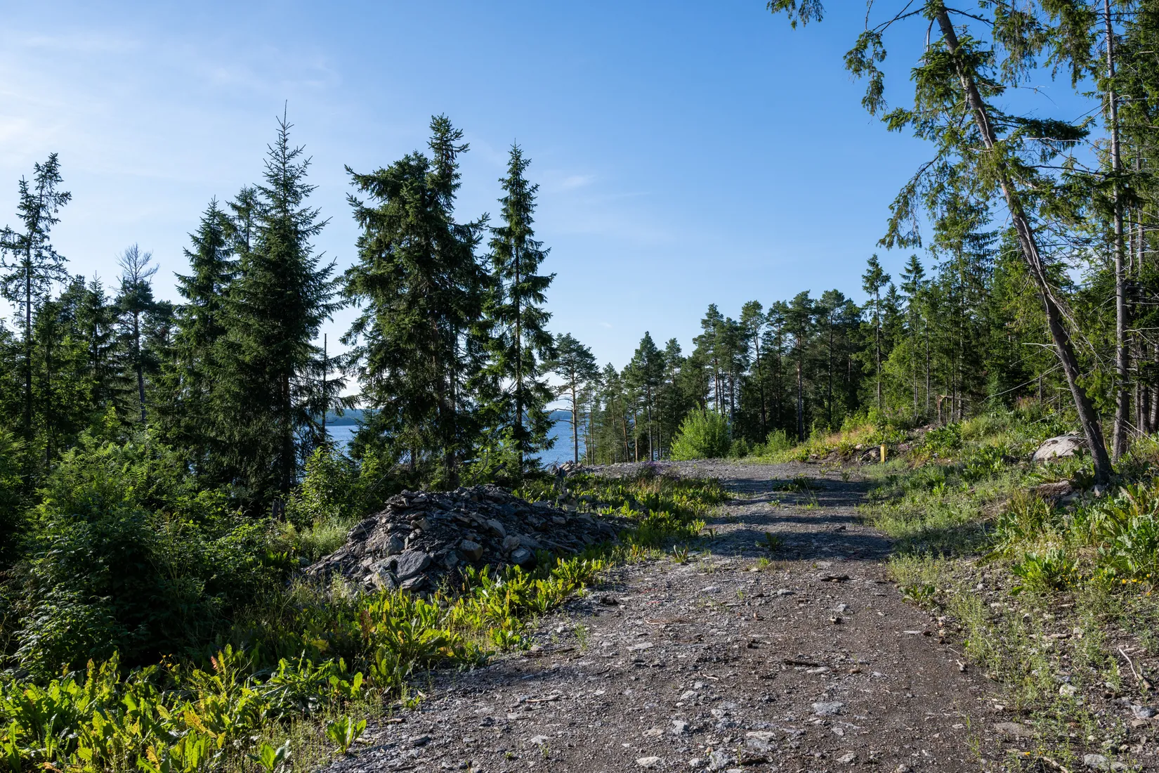 Tomt, Kårgärde 438, Hackås, Berg