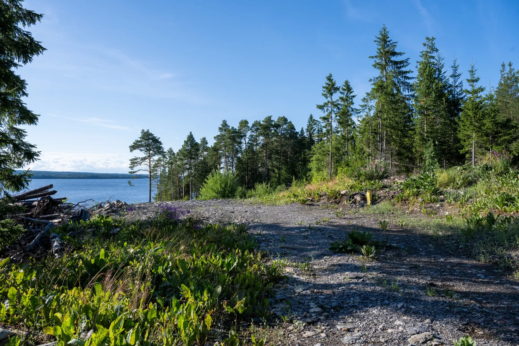 Tomt, Kårgärde 438, Hackås, Berg