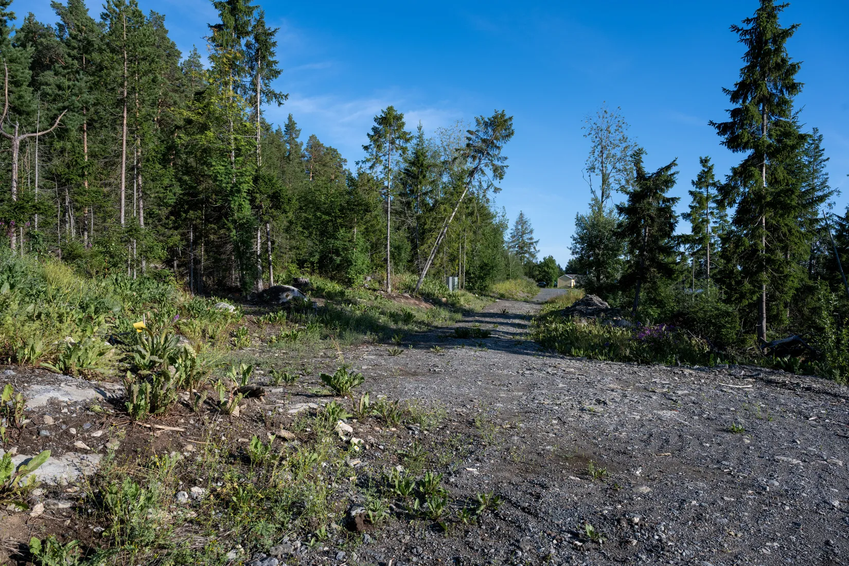 Tomt, Kårgärde 438, Hackås, Berg