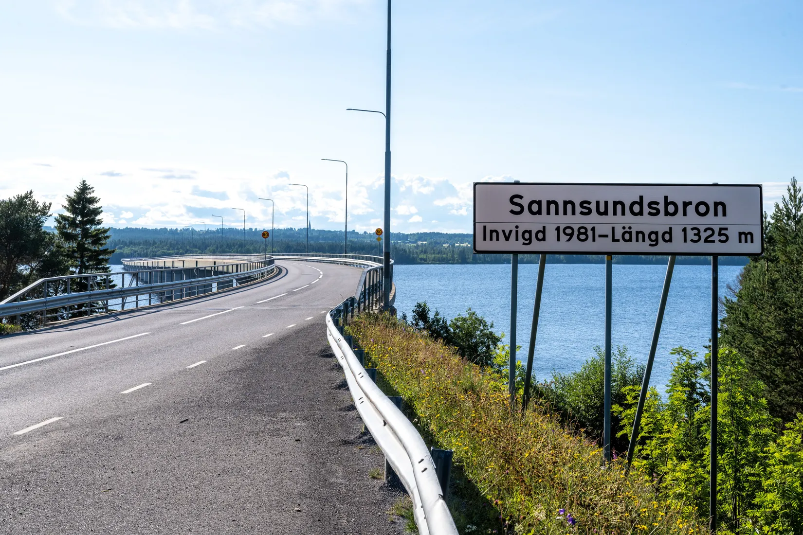 Tomt, Kårgärde 438, Hackås, Berg