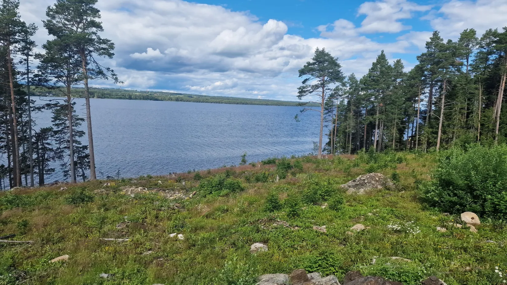 Tomt, Kårgärde 438, Hackås, Berg