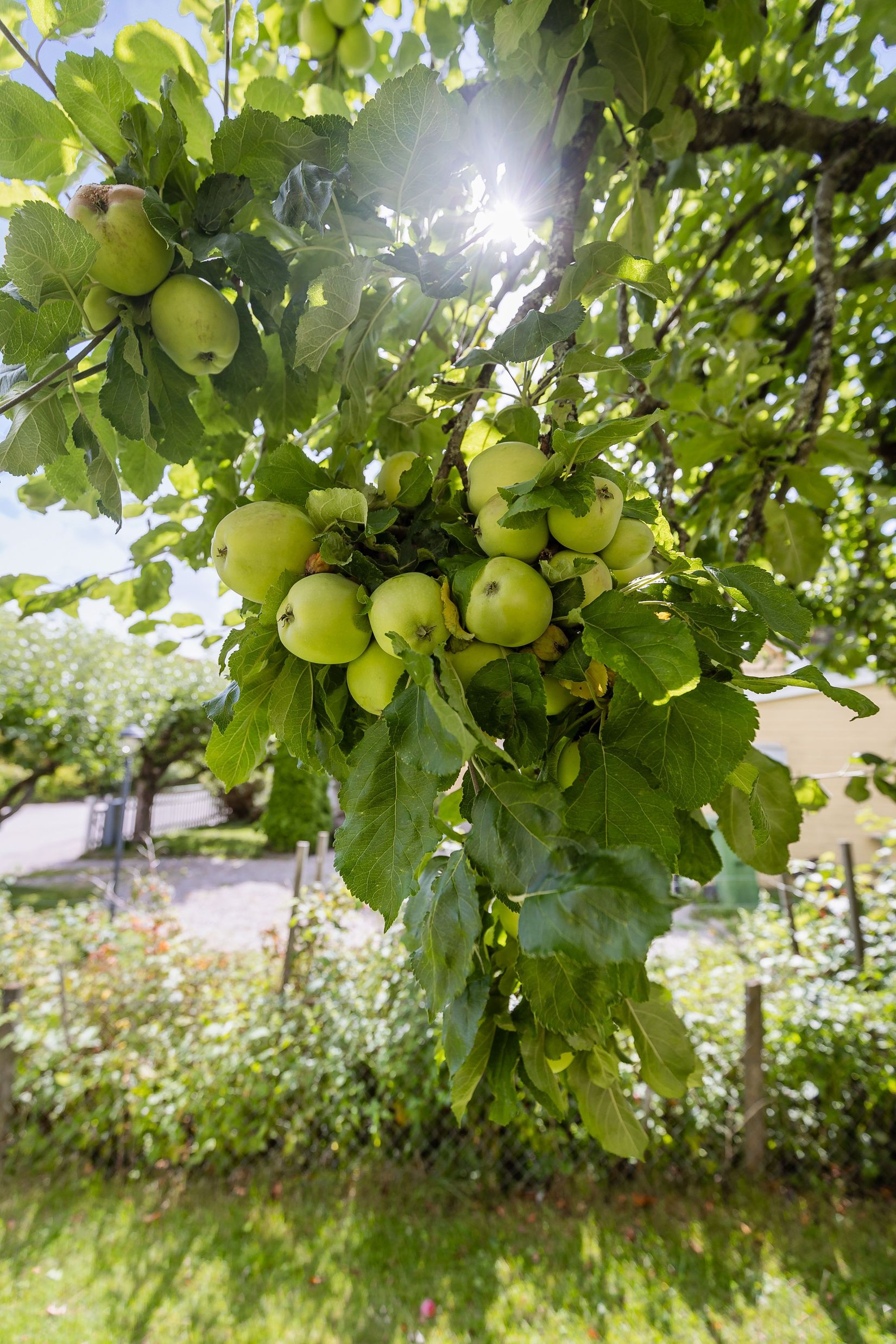 Villa, Flodins väg 5, Strängnäs