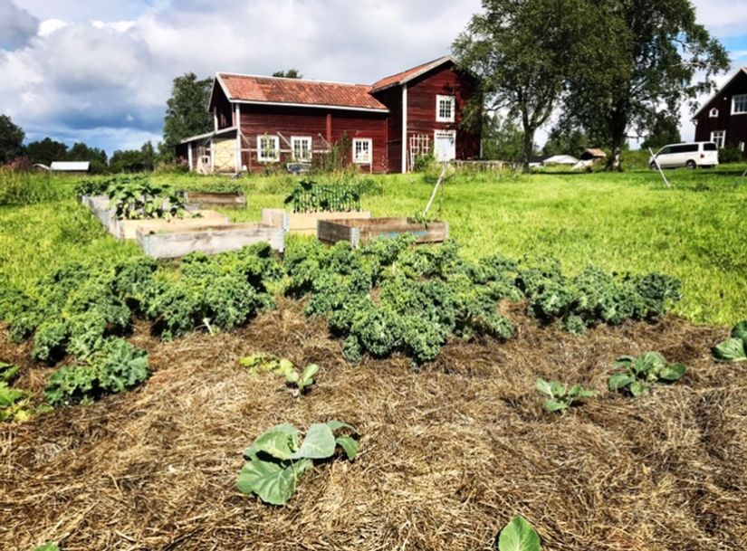 Villa, Månsåsen 453, Månsåsen, Åre
