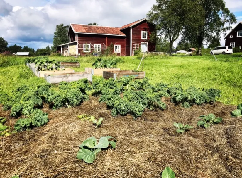 Villa, Månsåsen 453, Månsåsen, Åre