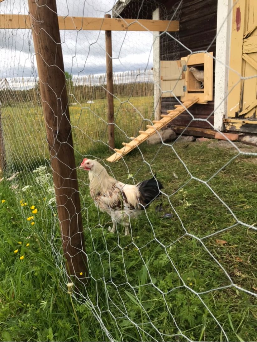 Villa, Månsåsen 453, Månsåsen, Åre