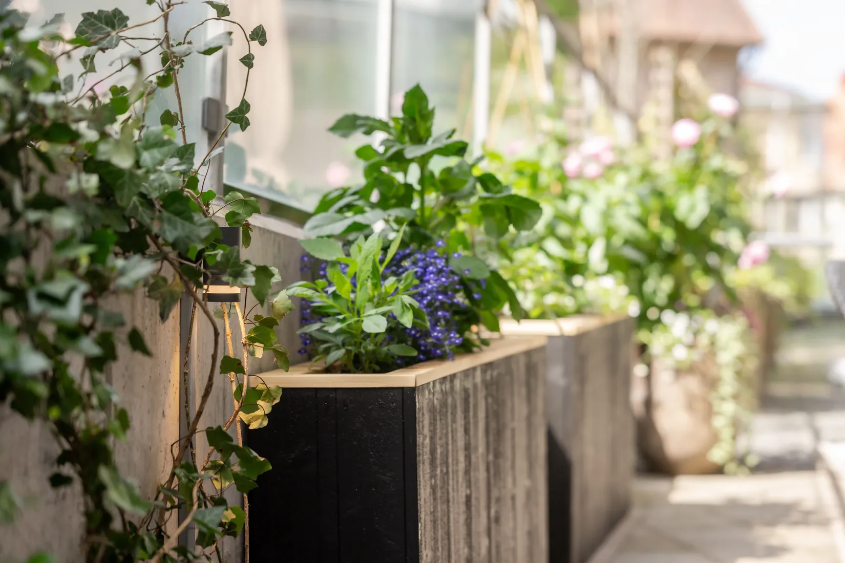 Bostadsrätt, Sturegatan 54, Centrum, Borås