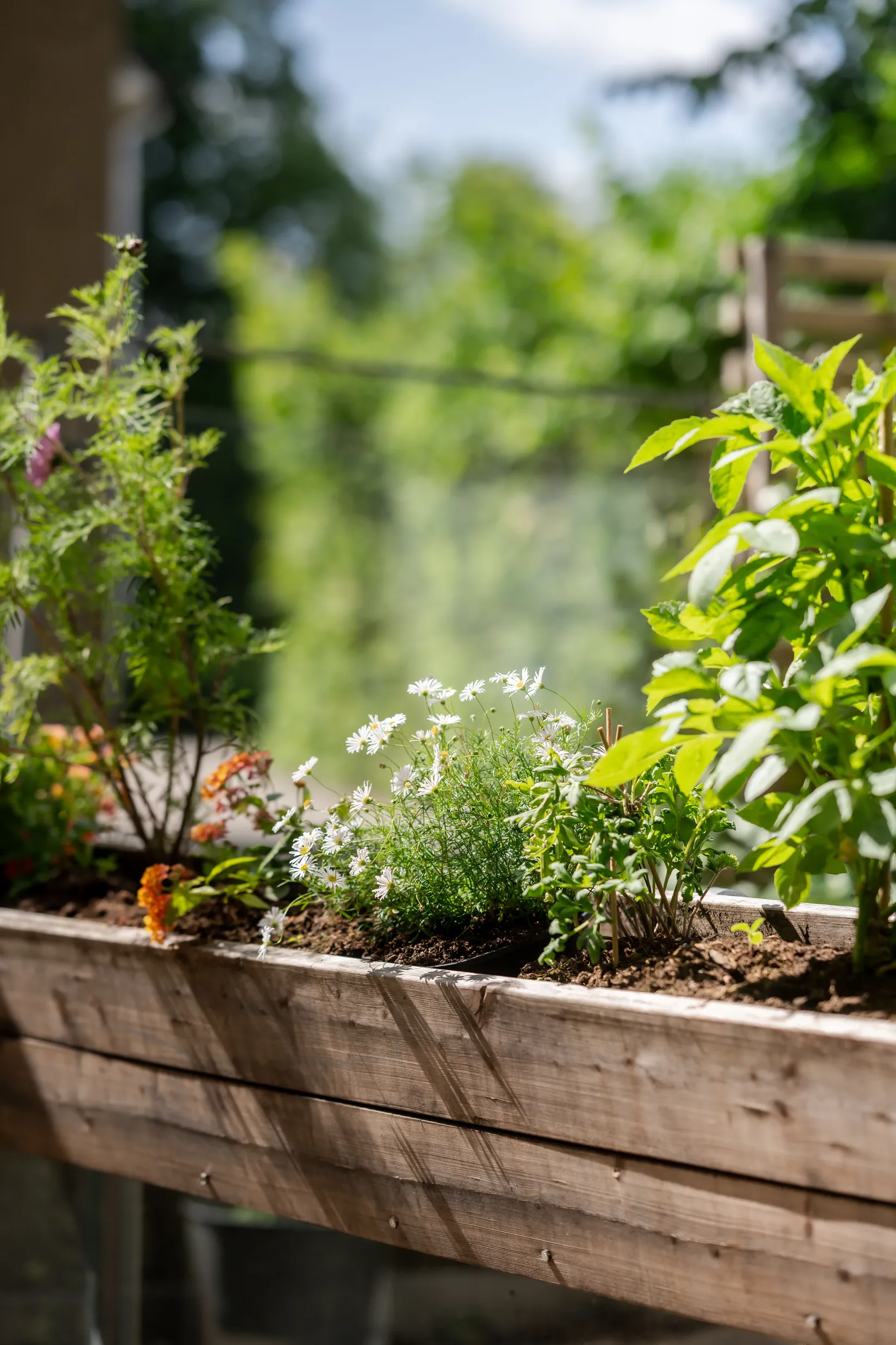 Bostadsrätt, Sturegatan 54, Centrum, Borås