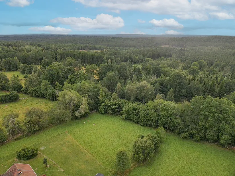 Gård/Skog, Kongseryd Kongshult 1, Hult, Eksjö