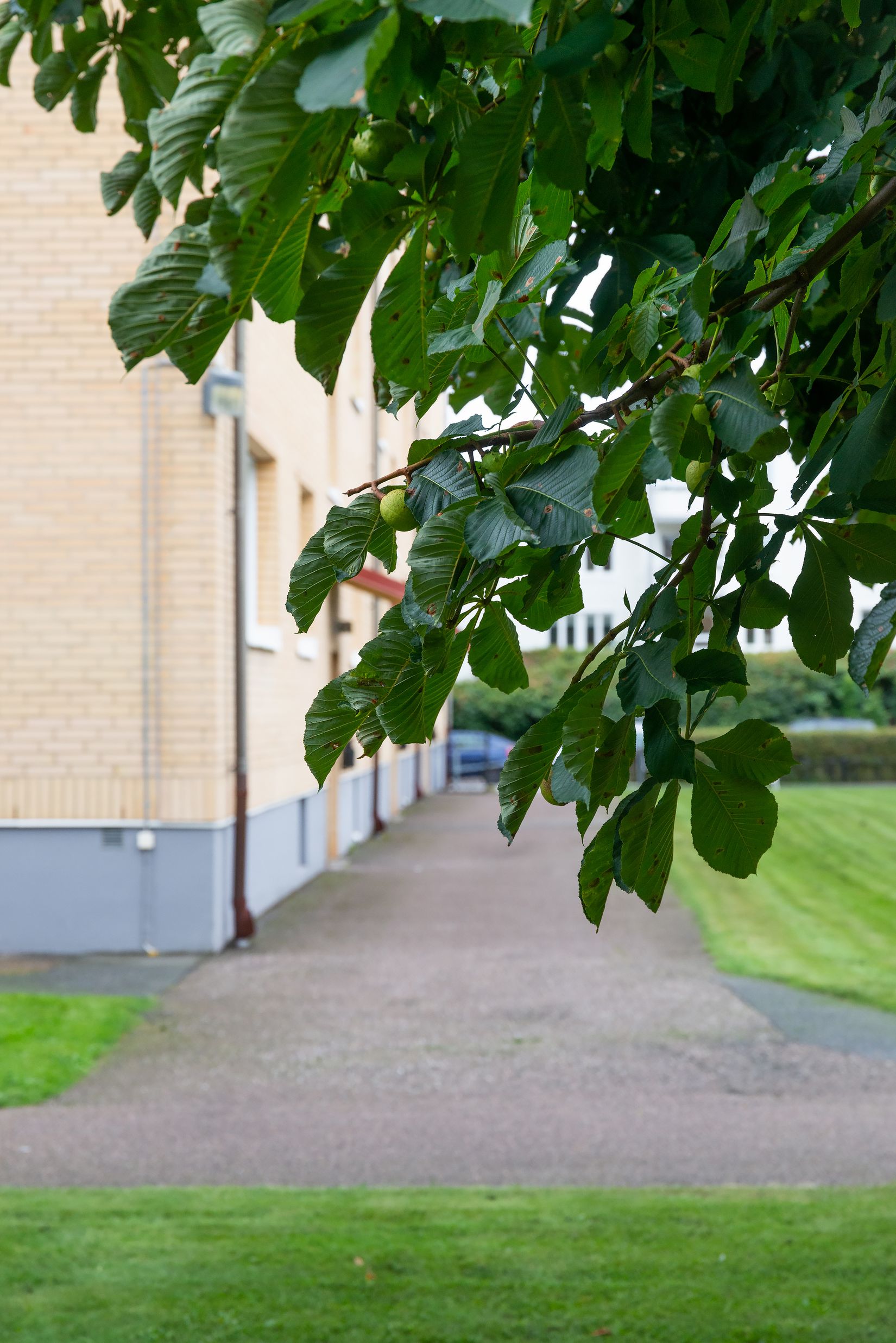 Bostadsrätt, Repslagaregatan 1B, Tingvalla, Trollhättan