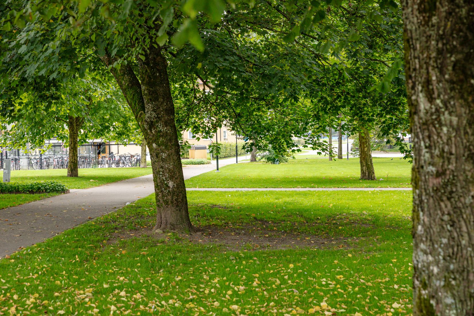 Bostadsrätt, Repslagaregatan 1B, Tingvalla, Trollhättan