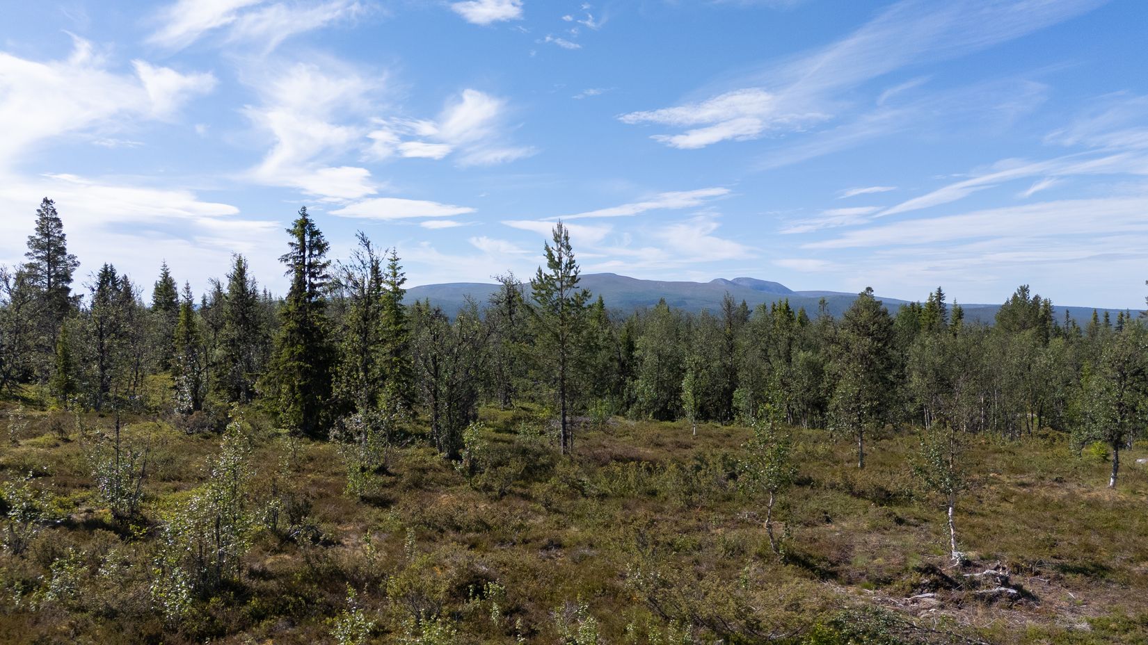 Fritidshus, Uppvallen Fjällripan 2, Härjedalen