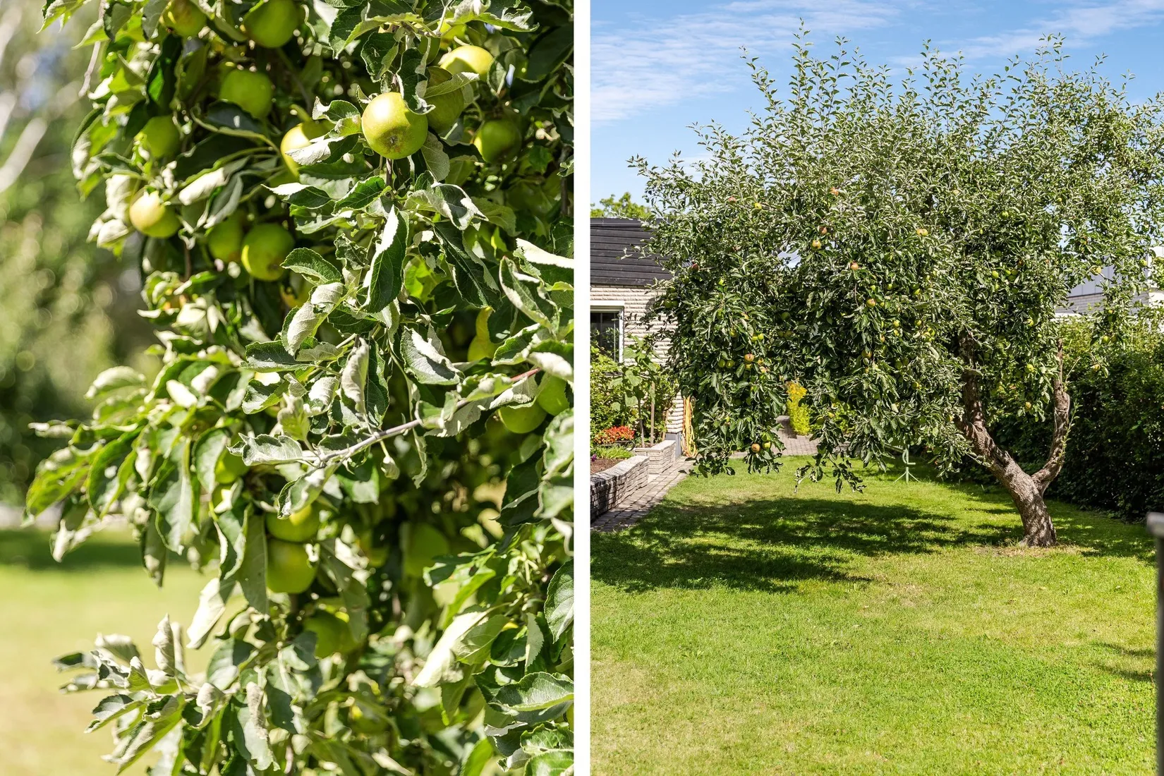 Villa, Grönhögsgatan 16, Norrköping