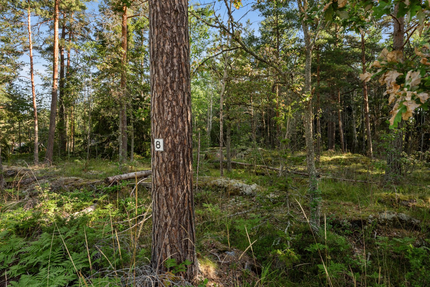 Tomt, Gökslingan 8, Björknäs - Herräng, Norrtälje