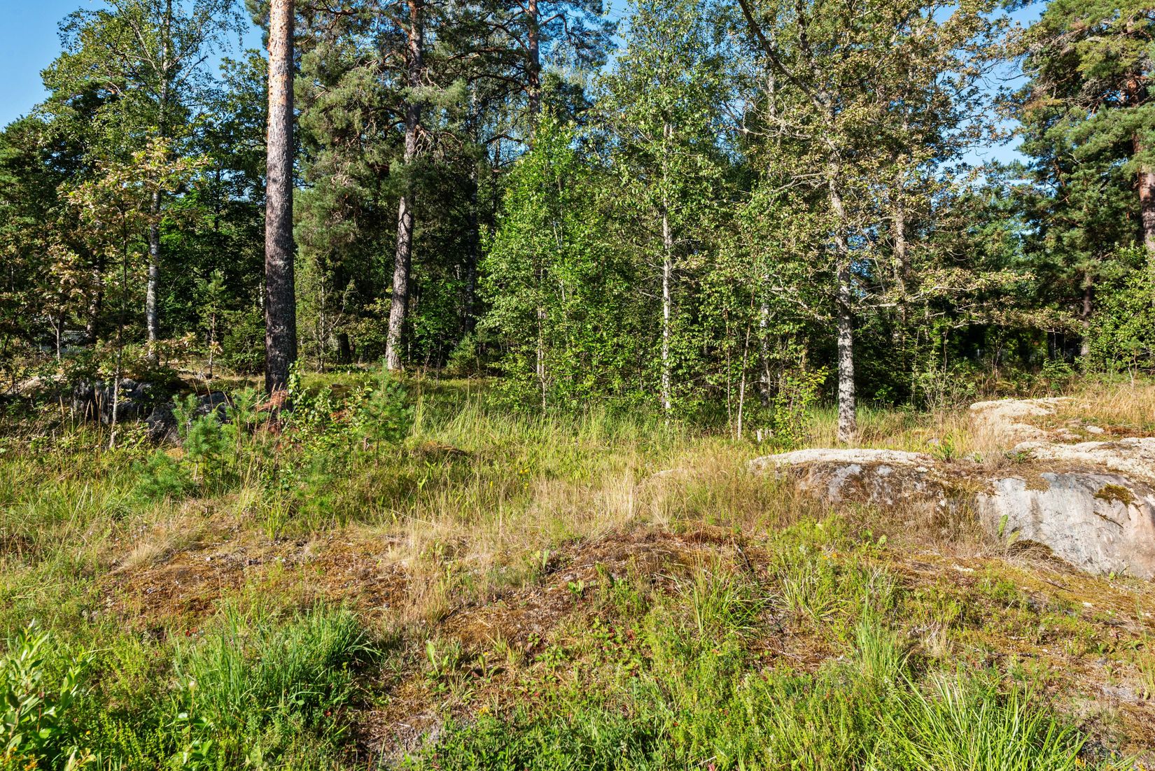 Tomt, Nylandets väg 41, Hensvik, Norrtälje