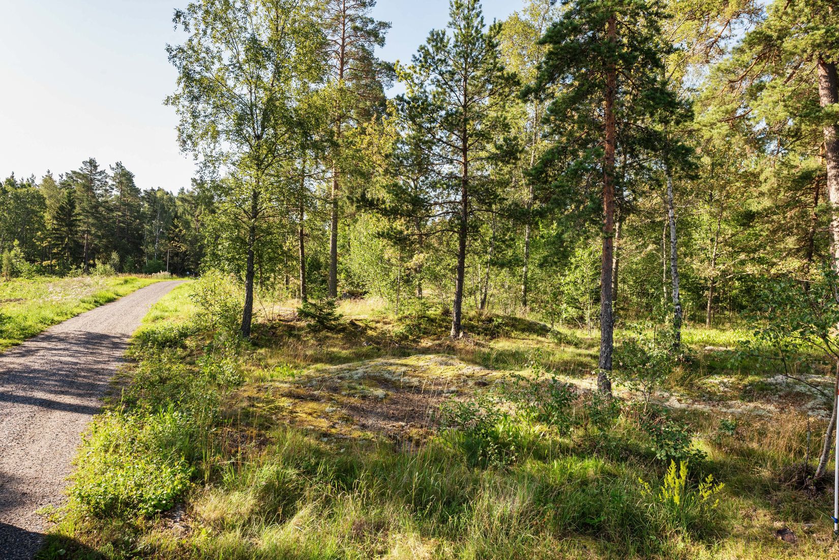 Tomt, Nylandets väg 41, Hensvik, Norrtälje