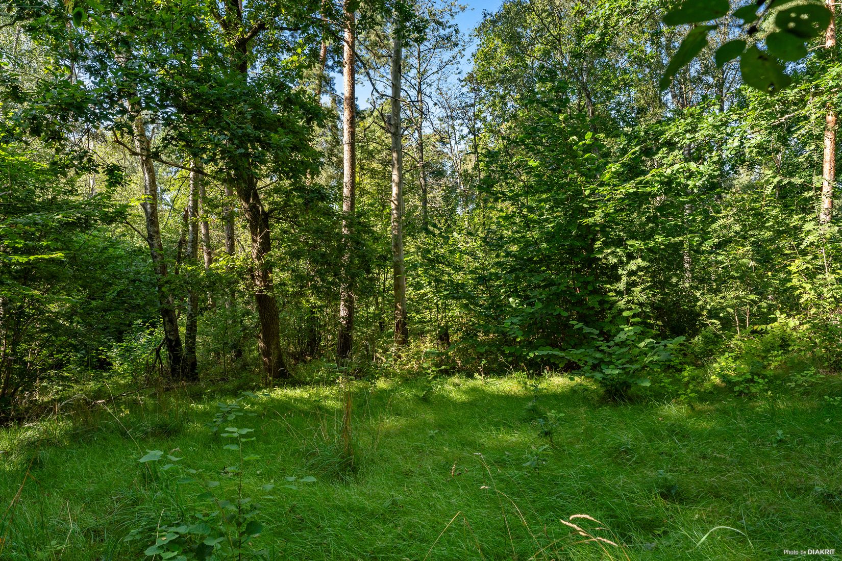 Tomt, Skreavägen 37C, Skrea, Falkenberg