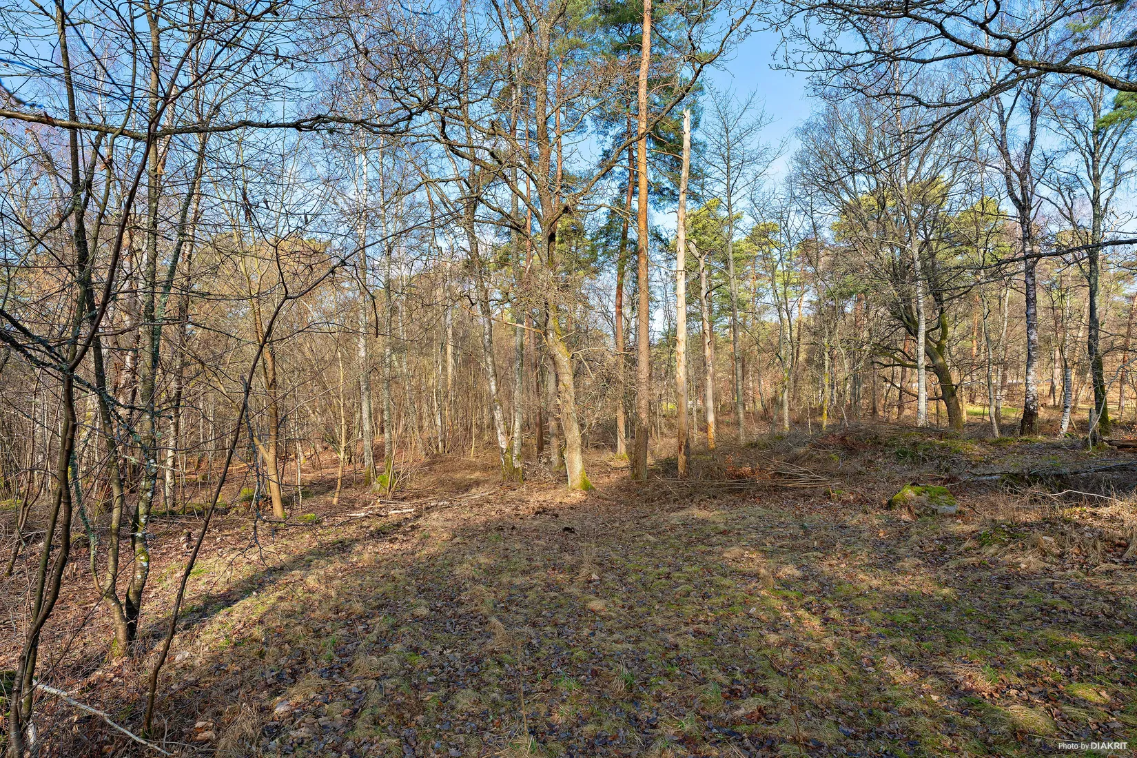 Tomt, Skreavägen 37C, Skrea, Falkenberg