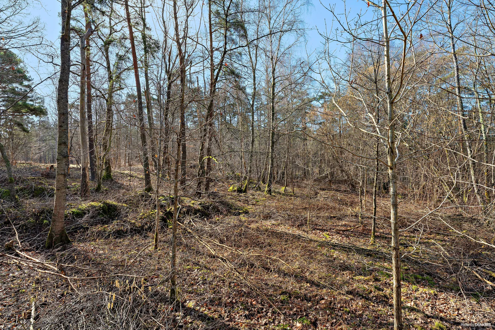 Tomt, Skreavägen 37C, Skrea, Falkenberg