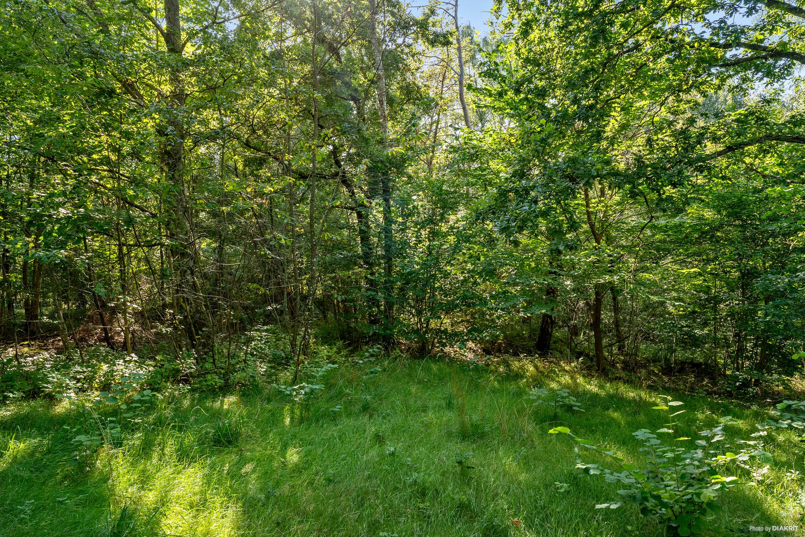 Tomt, Skreavägen 37C, Skrea, Falkenberg