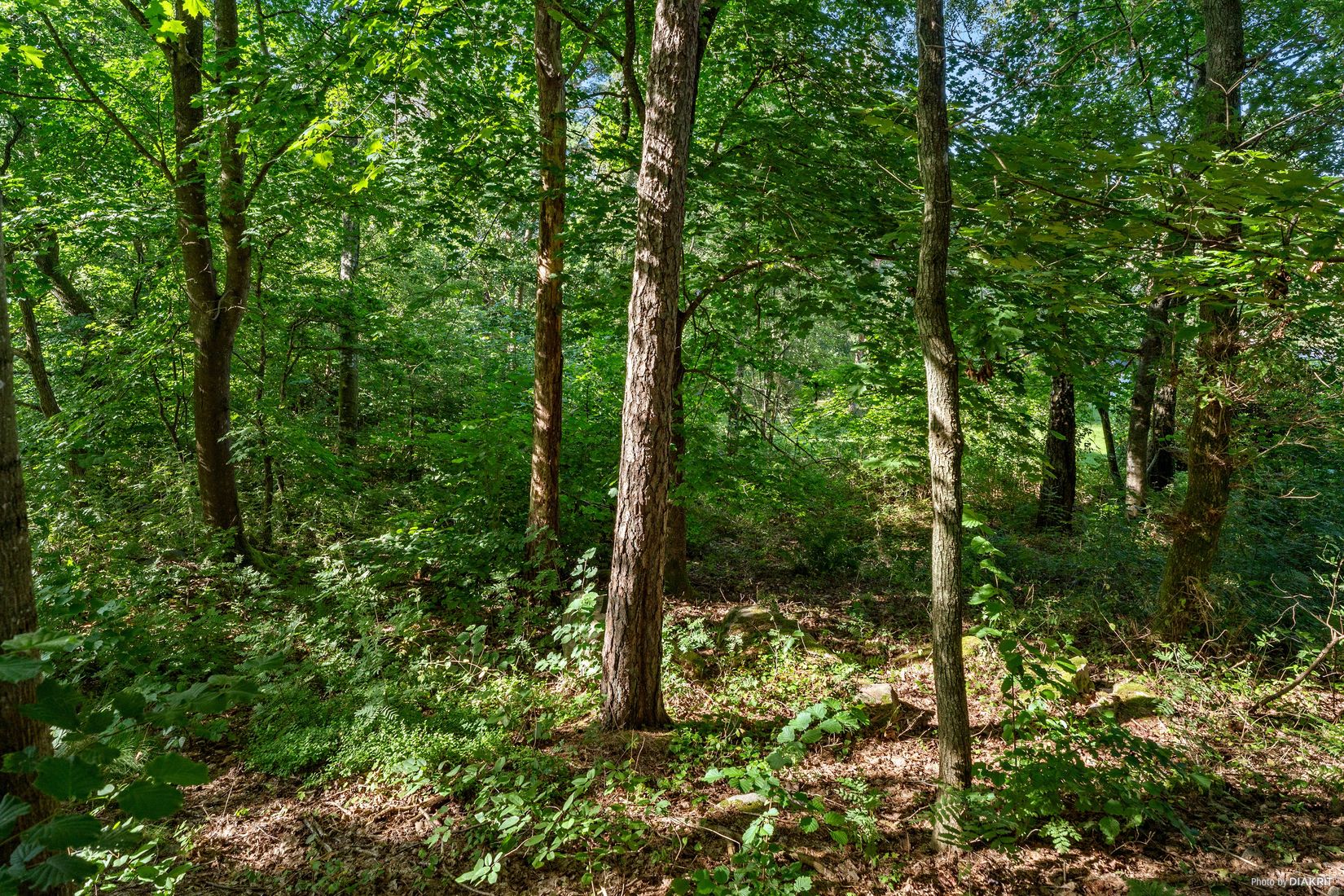 Tomt, Skreavägen 37B, Skrea, Falkenberg
