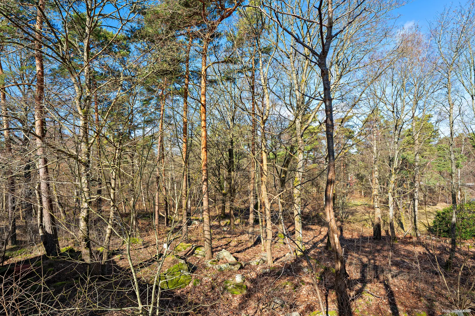 Tomt, Skreavägen 37B, Skrea, Falkenberg