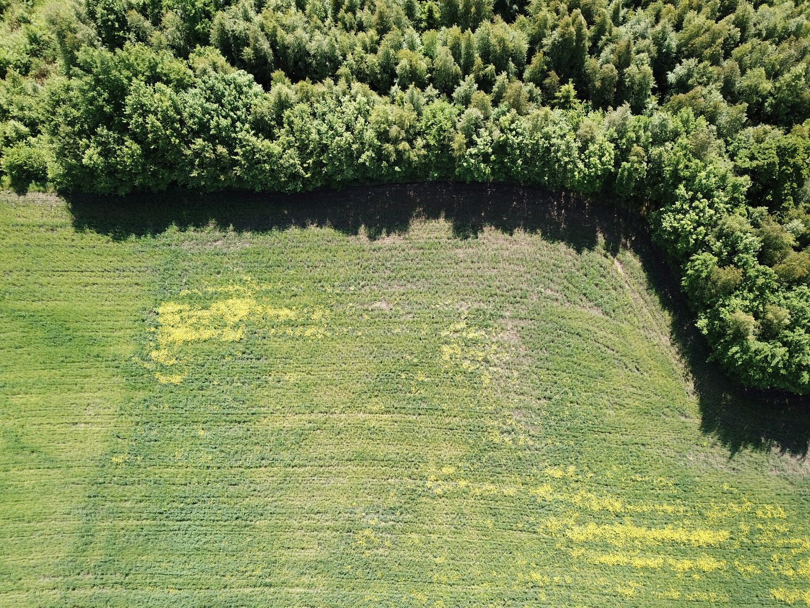 Tomt, Del av Dalen 4:1, Kungälv