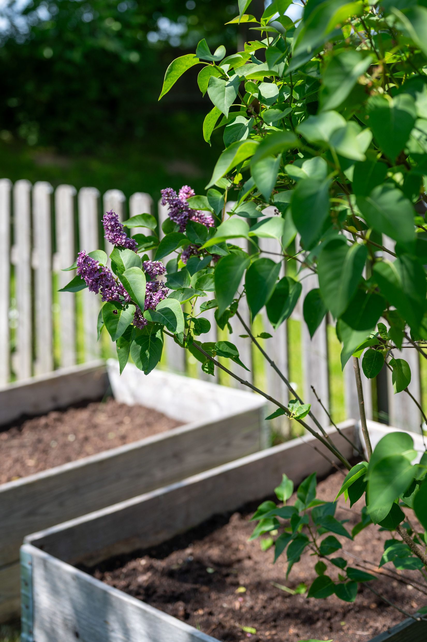 Bostadsrätt, Radhus, Tegskiftesgatan 9, Lambohov, Linköping