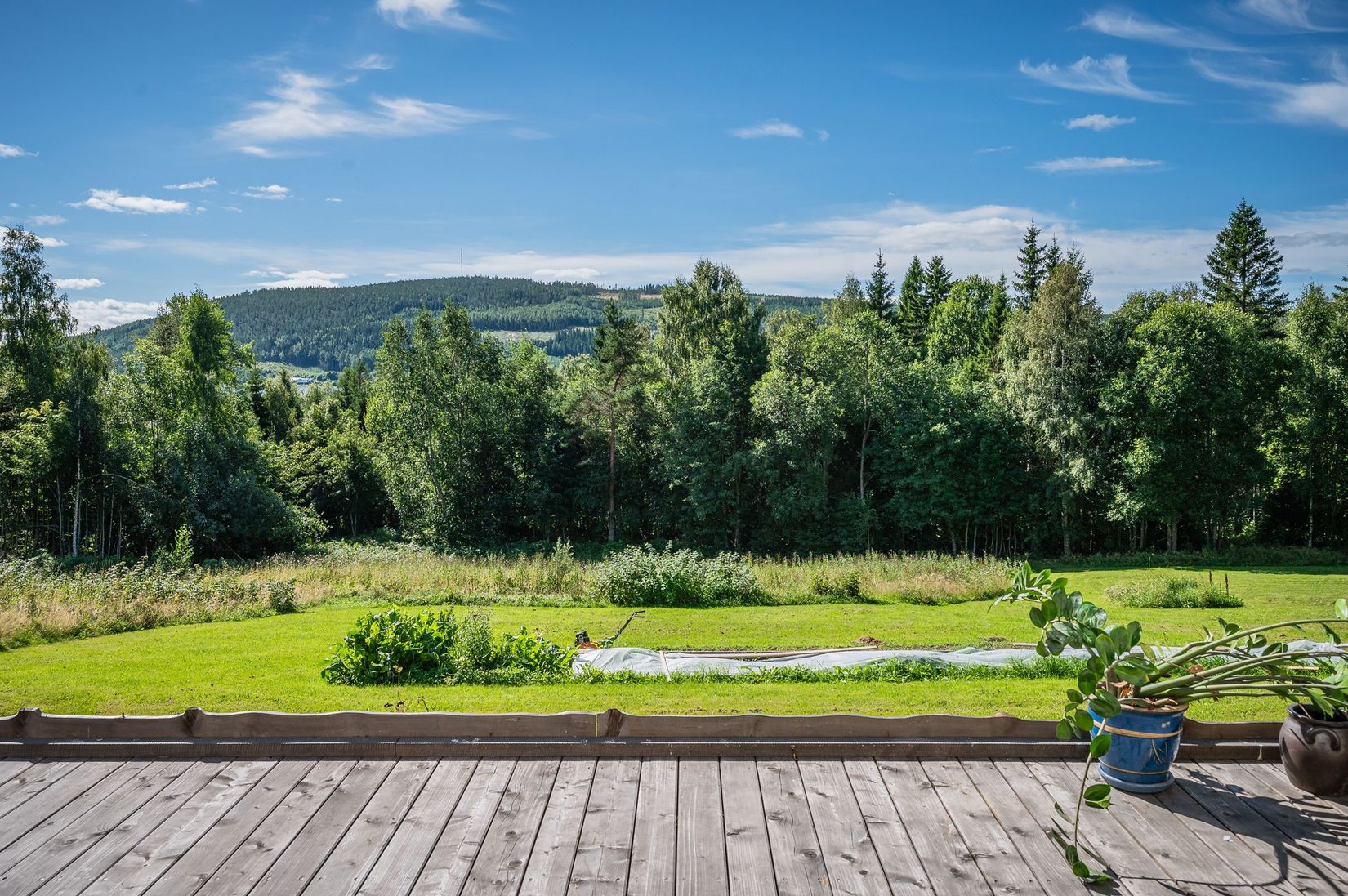 Gård/Skog, Rosenborgsvägen 32, Bjästa, Örnsköldsvik