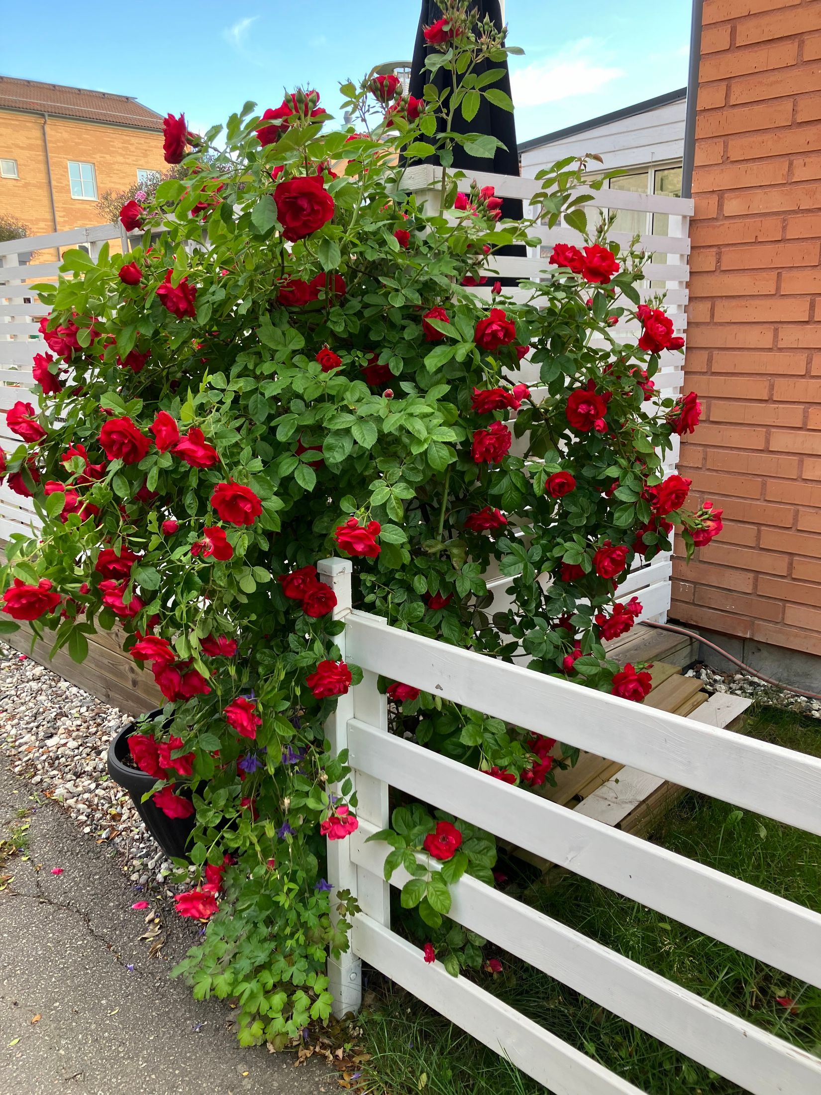 Radhus, Fönvindsvägen 14, Tallboda, Linköping