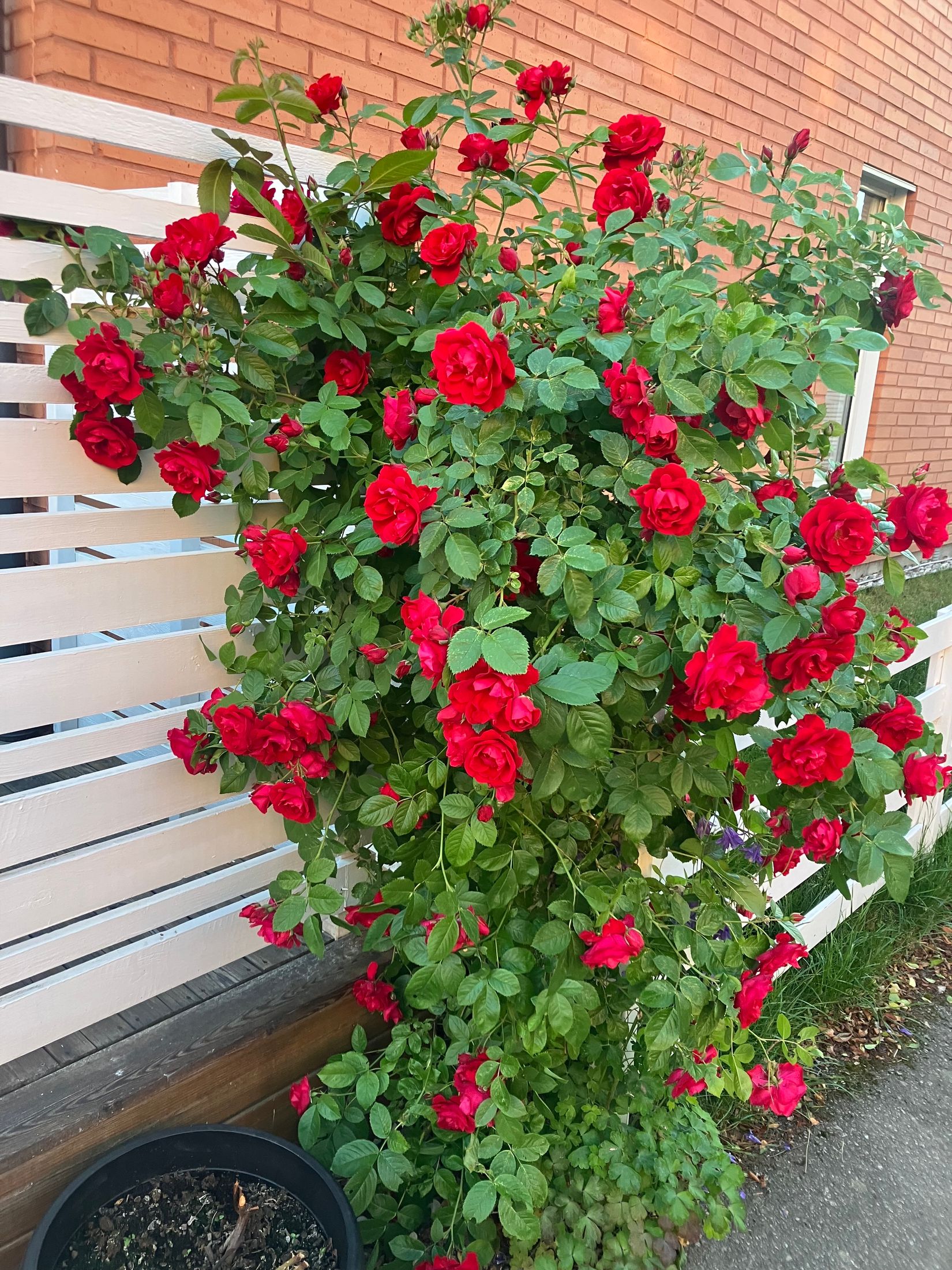 Radhus, Fönvindsvägen 14, Tallboda, Linköping